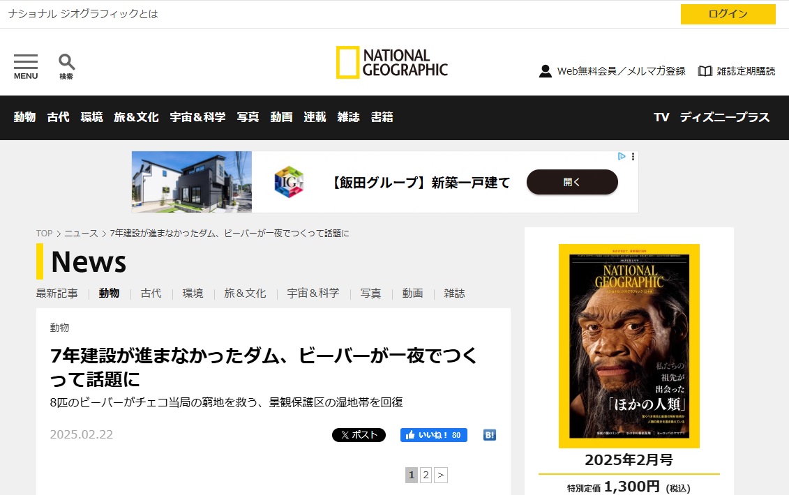 ナショナルジオグラフィックのデザイン