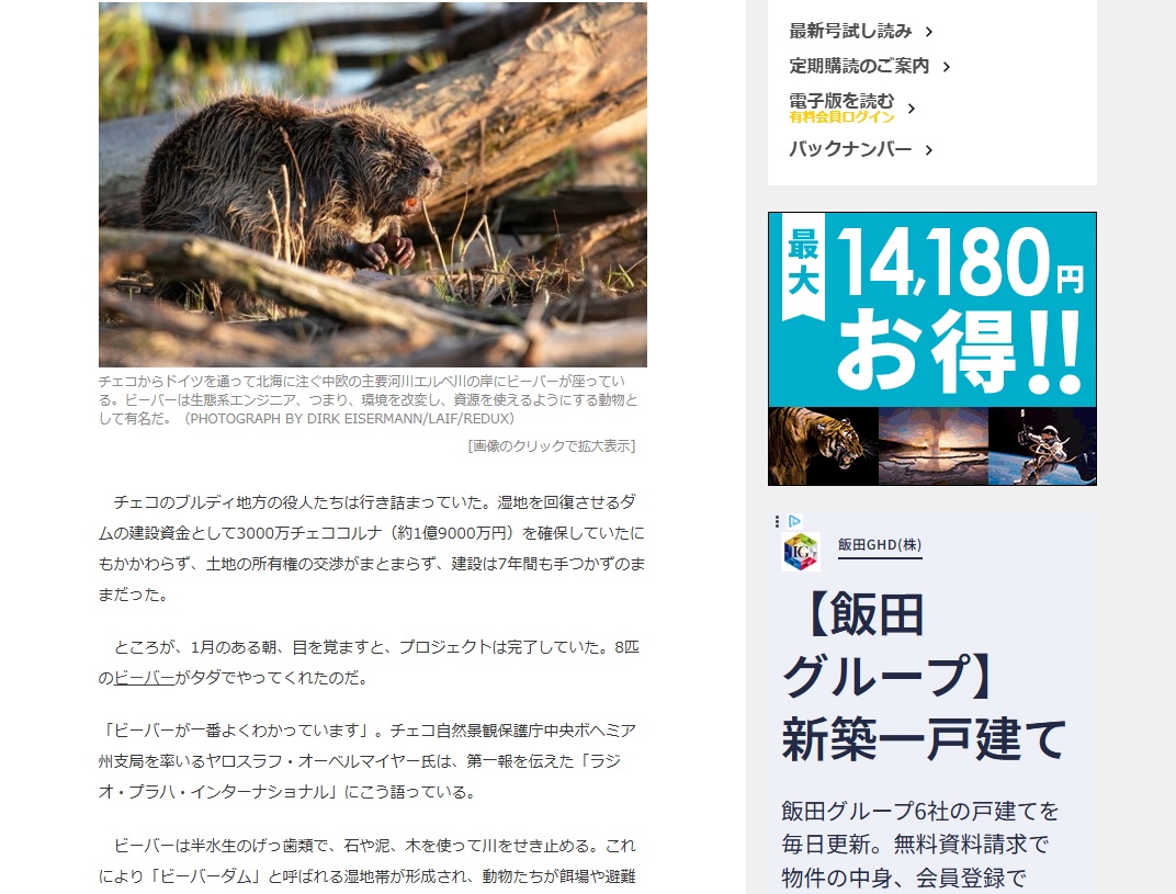 ナショナルジオグラフィックのデザイン